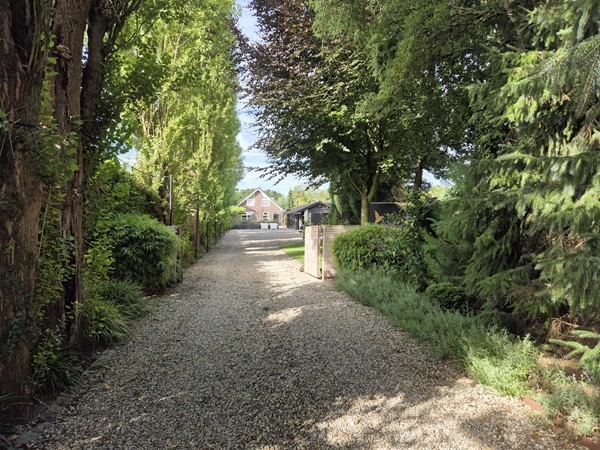 nieuwe buitenfoto's 29-07 (25).jpeg